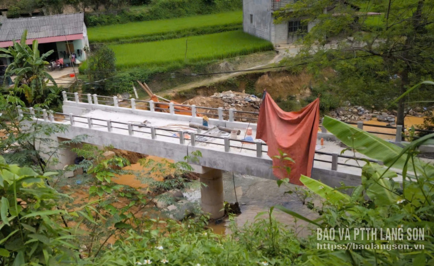 613328_613327_dscn0987_16444209_16452409