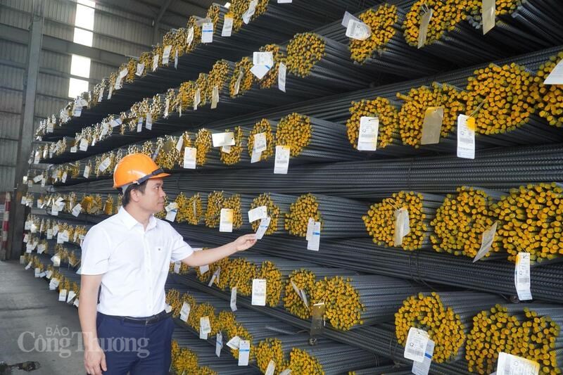 ong-viet-pgd-08595301