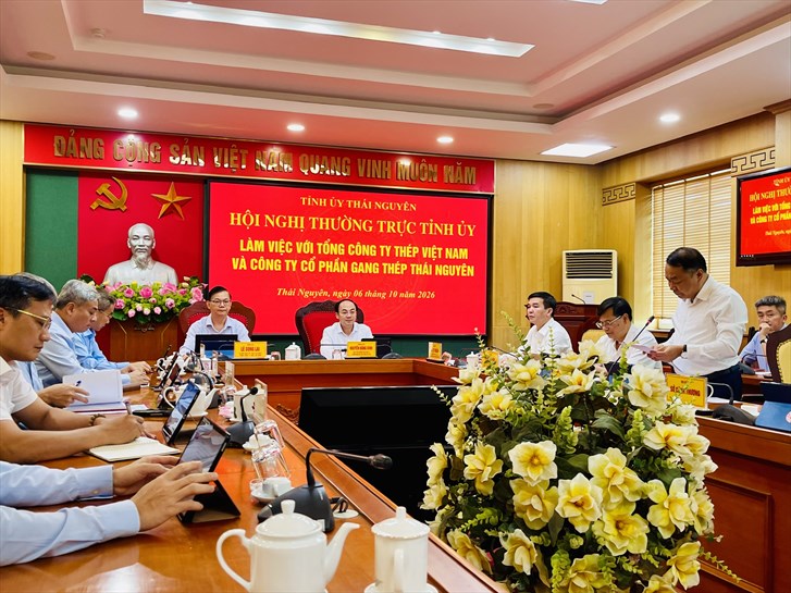 Bàn giải pháp tháo gỡ khó khăn tại Dự án Gang thép giai đoạn 2